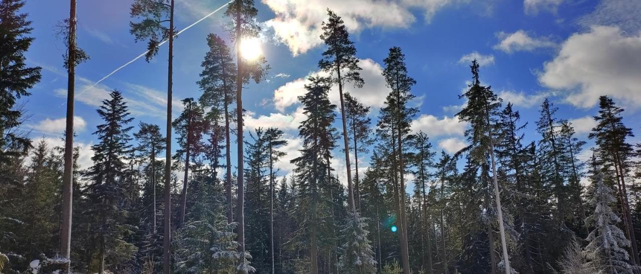 Bdapartmany Lipno nad Vltavou Luaran gambar